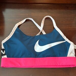 Nike Women's Blue and Pink Sports Bra